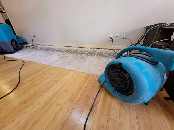 Professional Burst Pipe Water Damage technician working in Eden, NC